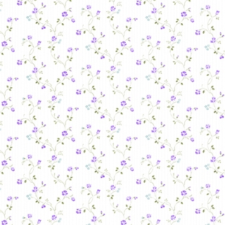 壁紙目錄110